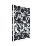 Art Forms in Nature 119 by Karl Blossfeldt, canvas, view 2