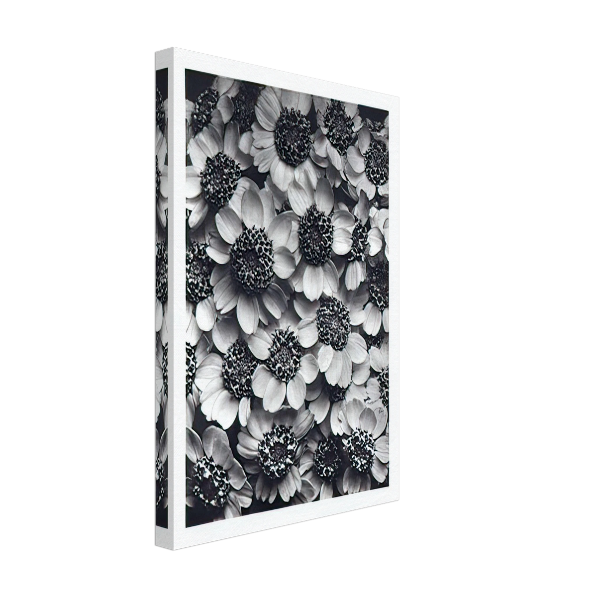 Art Forms in Nature 119 by Karl Blossfeldt, canvas, view 2