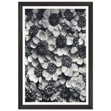 Art Forms in Nature 119 by Karl Blossfeldt, framed poster, view 2
