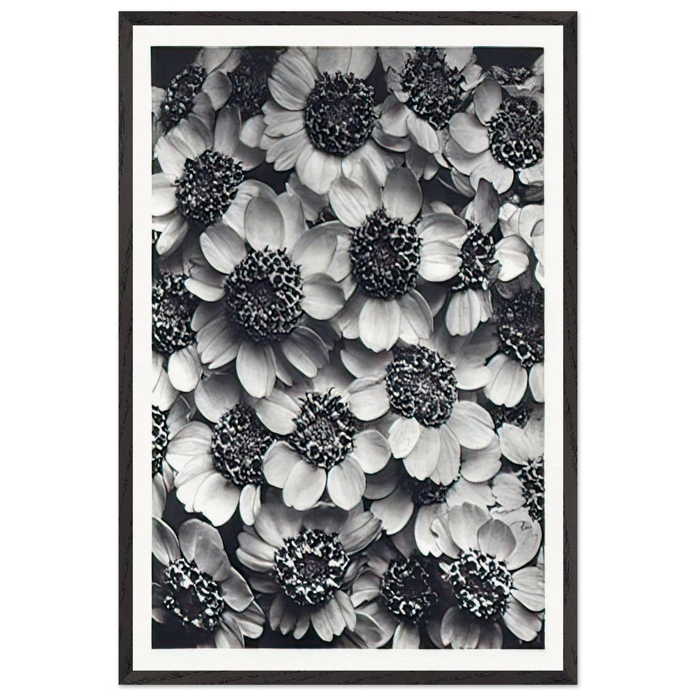 Art Forms in Nature 119 by Karl Blossfeldt, framed poster