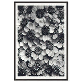 Art Forms in Nature 119 by Karl Blossfeldt, framed poster