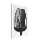 Art Forms in Nature 12 by Karl Blossfeldt, canvas, view 2