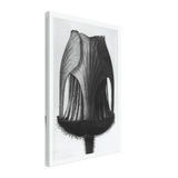 Art Forms in Nature 12 by Karl Blossfeldt, canvas