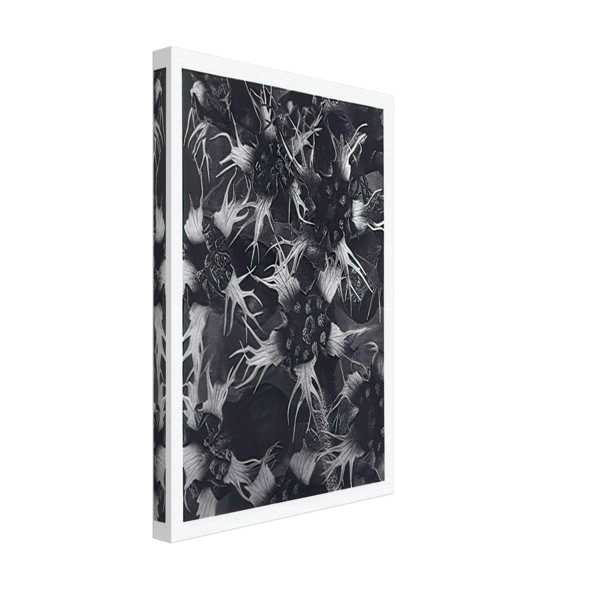Art Forms in Nature 120 by Karl Blossfeldt, canvas, view 2