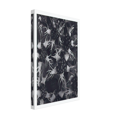 Art Forms in Nature 120 by Karl Blossfeldt, canvas, view 2