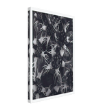 Art Forms in Nature 120 by Karl Blossfeldt, canvas