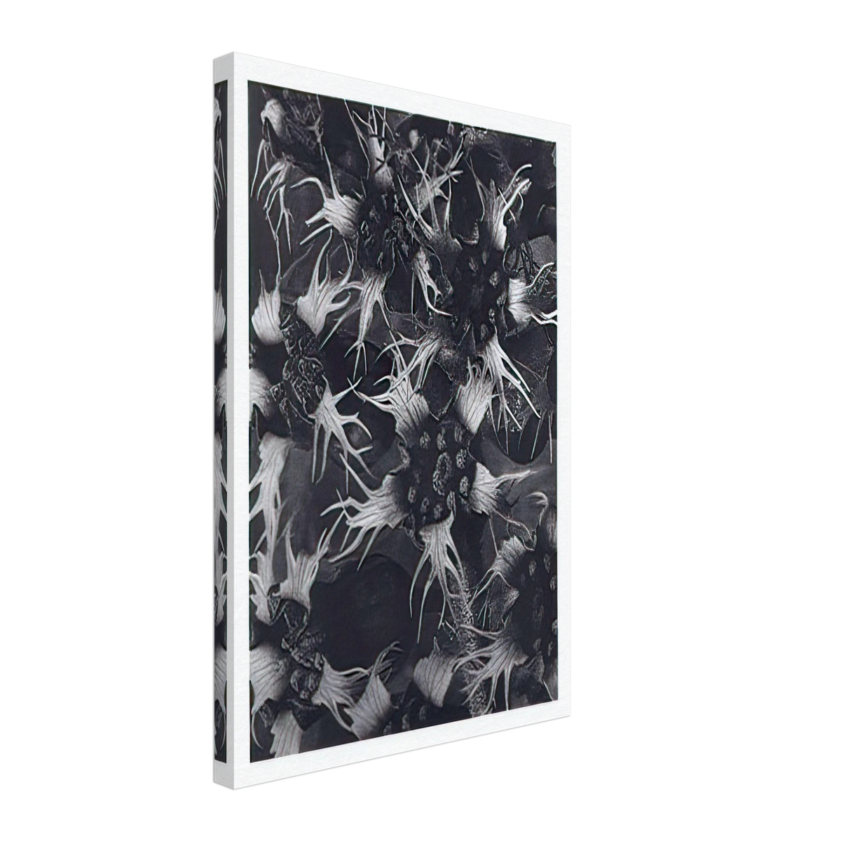 Art Forms in Nature 120 by Karl Blossfeldt, canvas