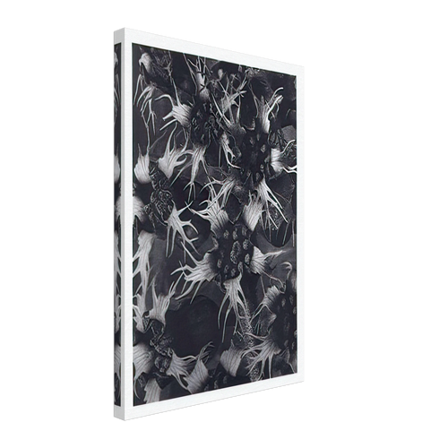 Art Forms in Nature 120 by Karl Blossfeldt, canvas