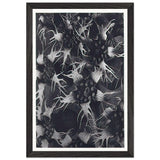 Art Forms in Nature 120 by Karl Blossfeldt, framed poster, view 2
