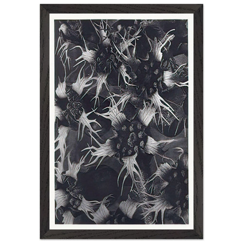 Art Forms in Nature 120 by Karl Blossfeldt, framed poster, view 2