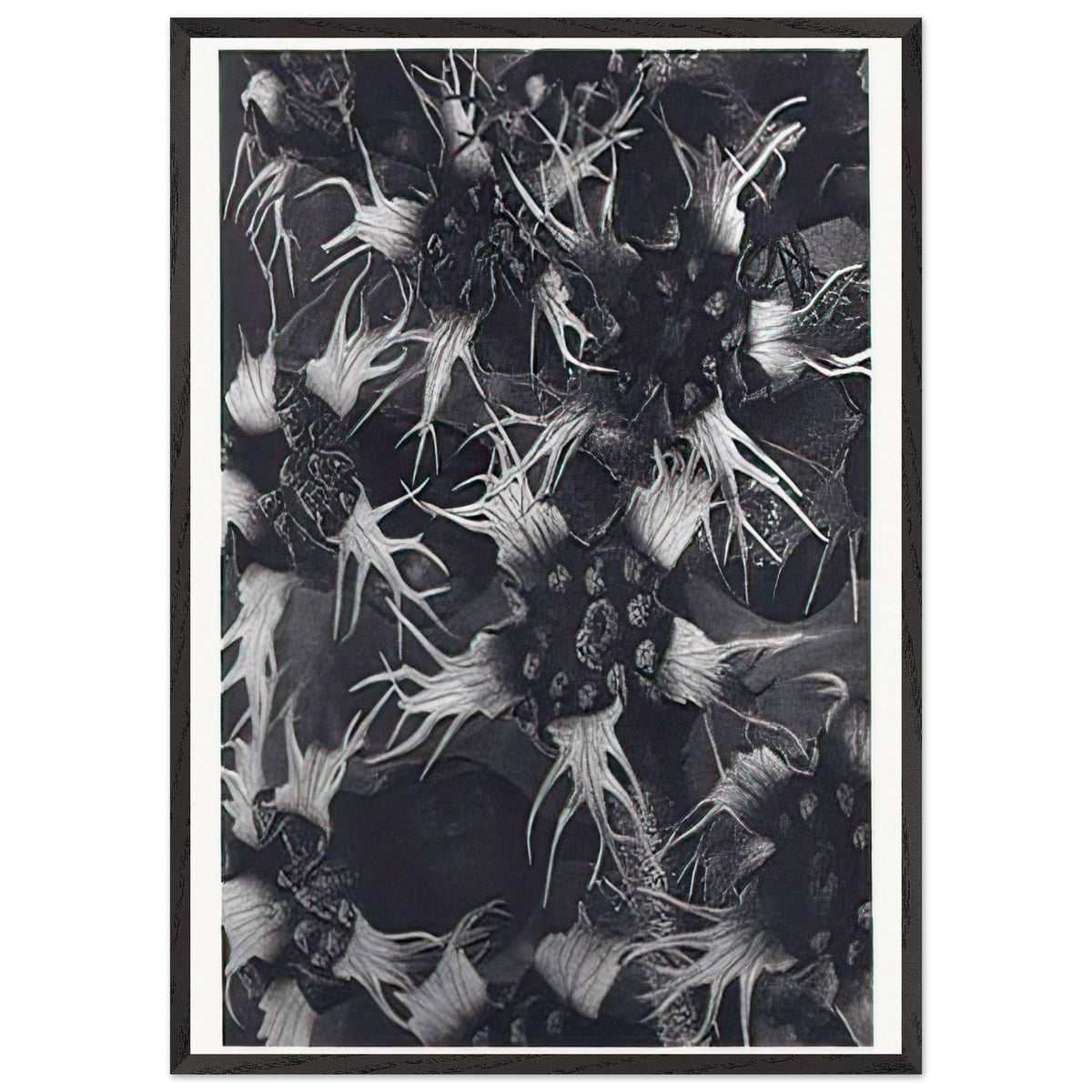 Art Forms in Nature 120 by Karl Blossfeldt, framed poster, view 3