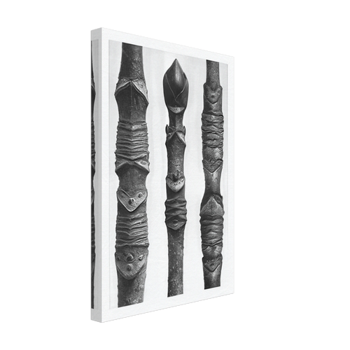 Art Forms in Nature 14 by Karl Blossfeldt, canvas, view 2