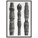 Art Forms in Nature 14 by Karl Blossfeldt, framed poster