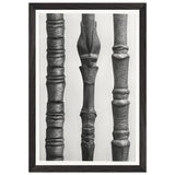 Art Forms in Nature 15 by Karl Blossfeldt, framed poster, view 2