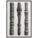 Art Forms in Nature 15 by Karl Blossfeldt, framed poster
