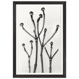 Art Forms in Nature 18 by Karl Blossfeldt, framed poster, view 2