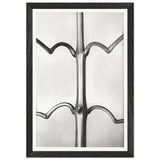 Art Forms in Nature 19 by Karl Blossfeldt, framed poster, view 2