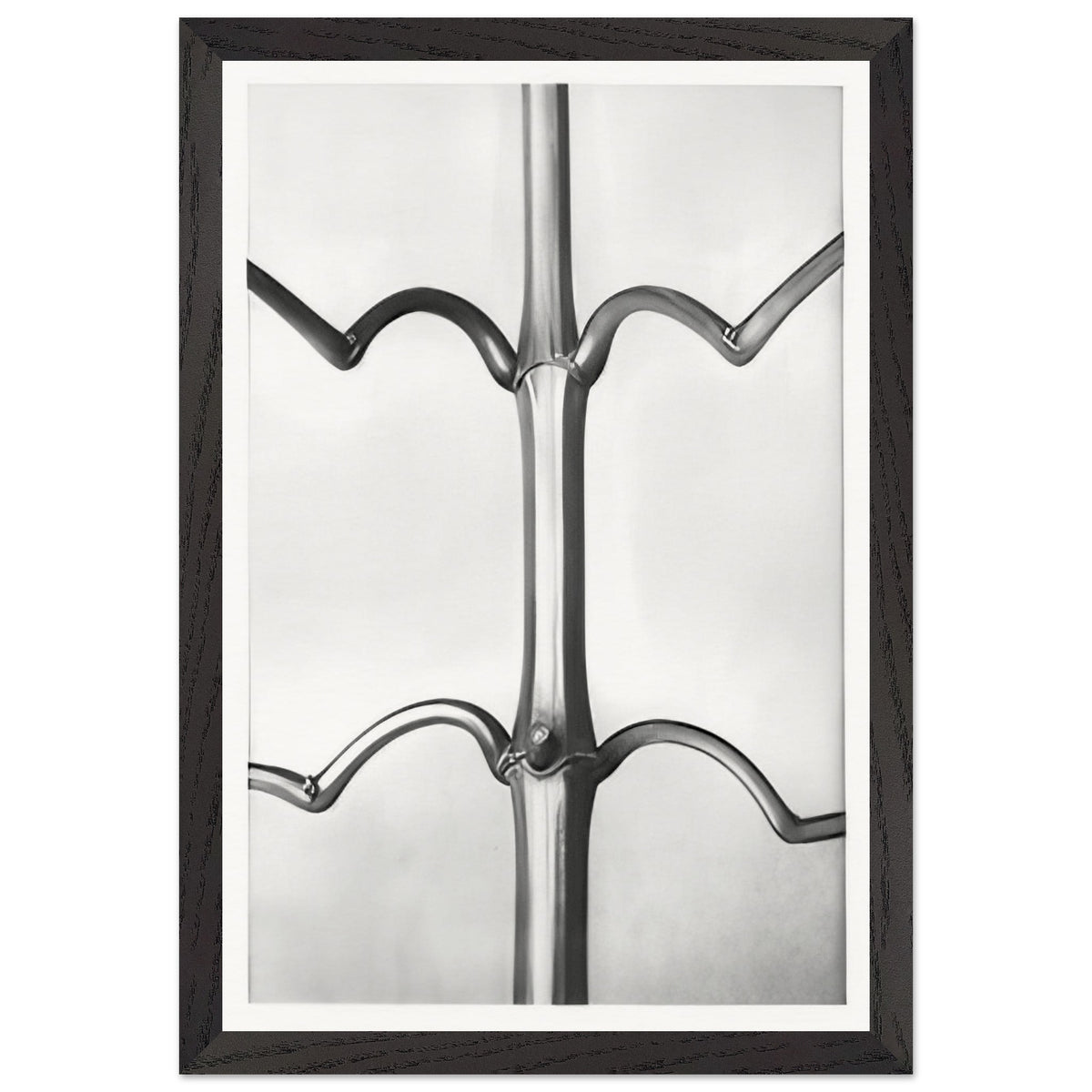 Art Forms in Nature 19 by Karl Blossfeldt, framed poster, view 2