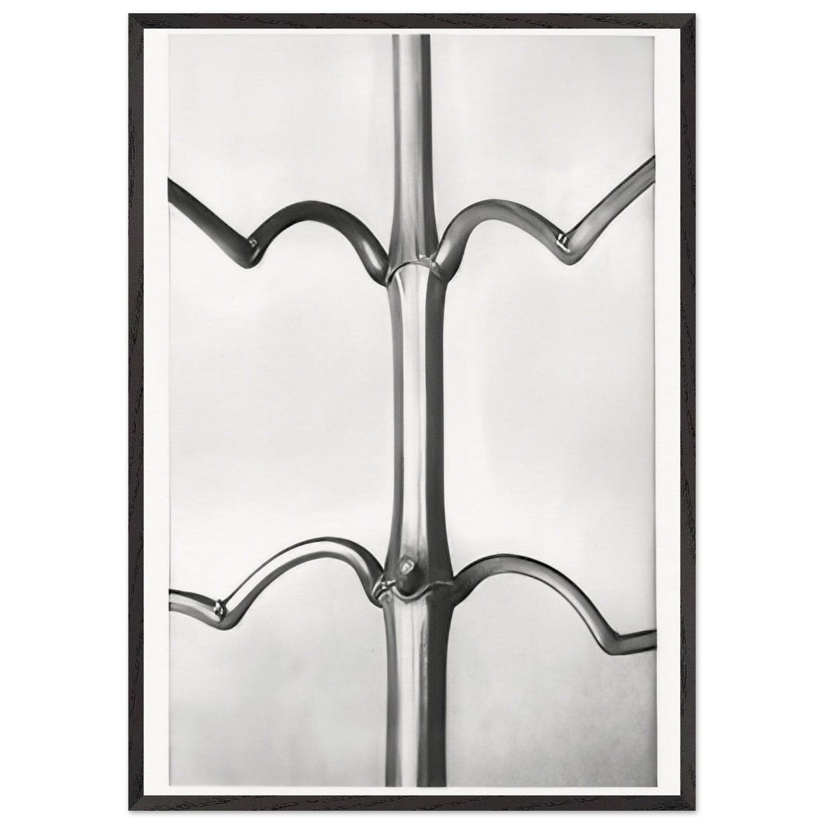 Art Forms in Nature 19 by Karl Blossfeldt, framed poster, view 3