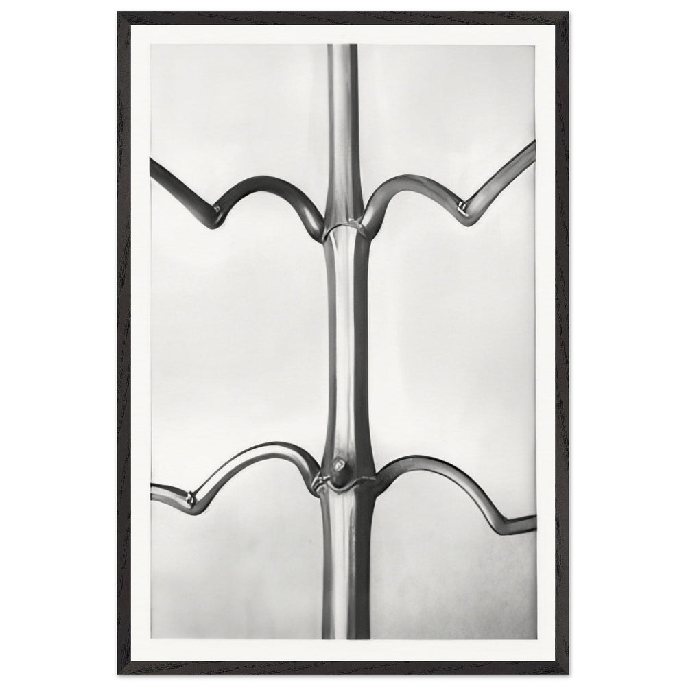 Art Forms in Nature 19 by Karl Blossfeldt, framed poster