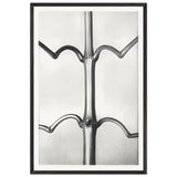 Art Forms in Nature 19 by Karl Blossfeldt, framed poster