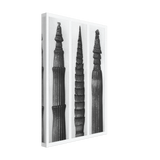 Art Forms in Nature 2 by Karl Blossfeldt, canvas, view 2