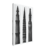 Art Forms in Nature 2 by Karl Blossfeldt, canvas