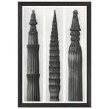 Art Forms in Nature 2 by Karl Blossfeldt, framed poster, view 2