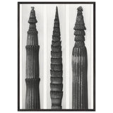 Art Forms in Nature 2 by Karl Blossfeldt, framed poster, view 3
