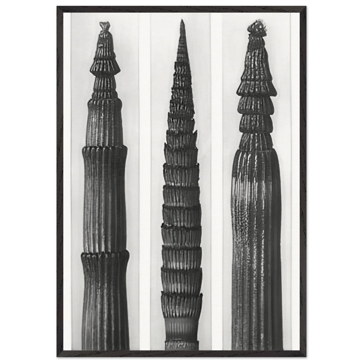Art Forms in Nature 2 by Karl Blossfeldt, framed poster, view 3