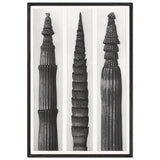 Art Forms in Nature 2 by Karl Blossfeldt, framed poster