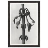 Art Forms in Nature 25 by Karl Blossfeldt, framed poster, view 2