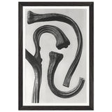 Art Forms in Nature 26 by Karl Blossfeldt, framed poster, view 2