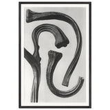 Art Forms in Nature 26 by Karl Blossfeldt, framed poster
