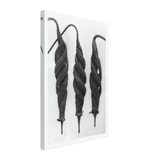 Art Forms in Nature 27 by Karl Blossfeldt, canvas