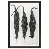Art Forms in Nature 27 by Karl Blossfeldt, framed poster, view 2