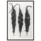 Art Forms in Nature 27 by Karl Blossfeldt, framed poster