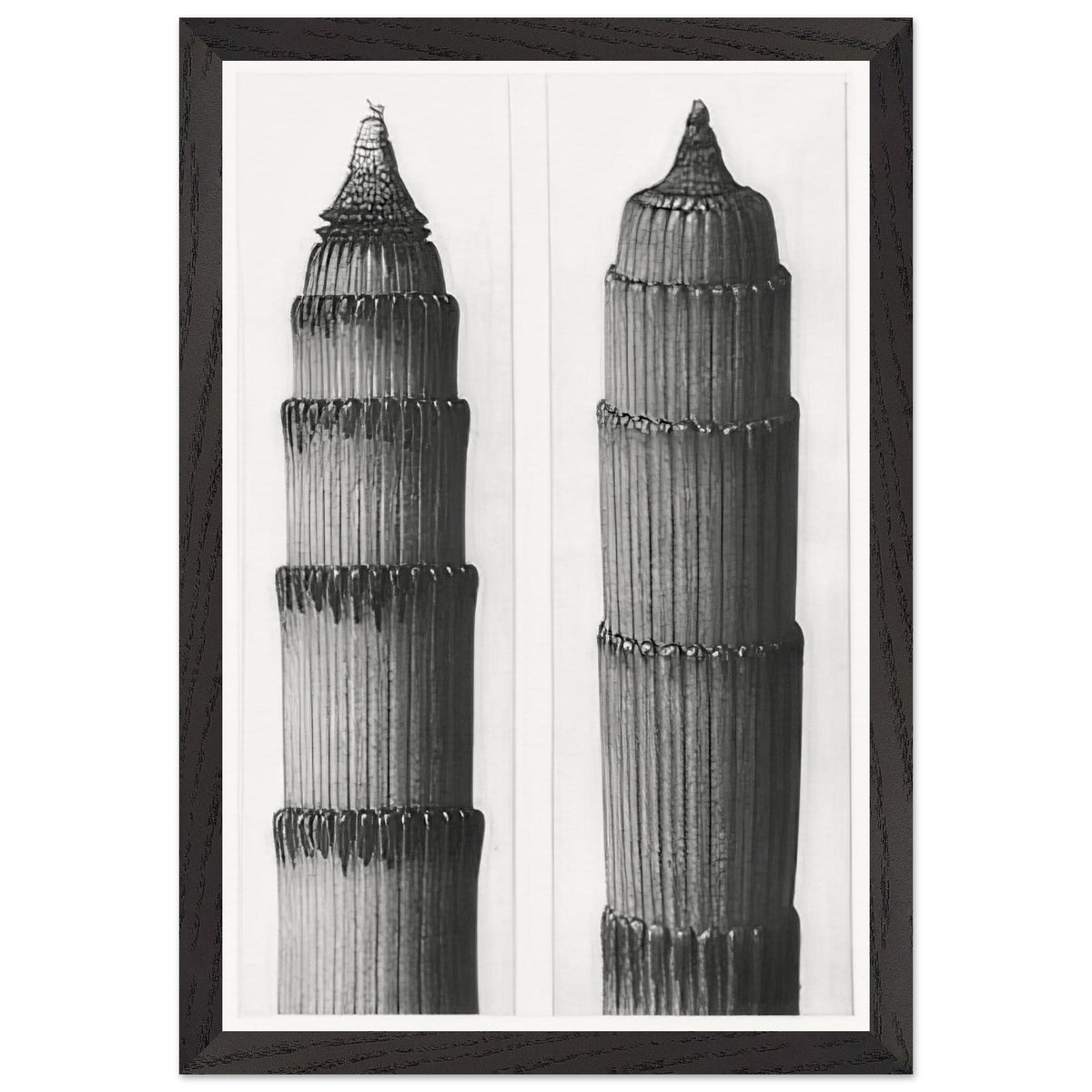 Art Forms in Nature 3 by Karl Blossfeldt, framed poster, view 2