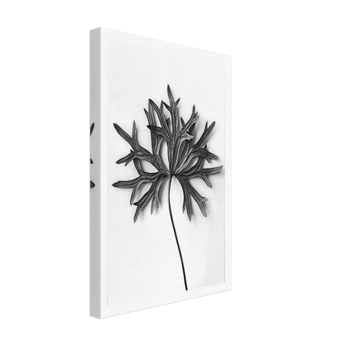 Art Forms in Nature 31 by Karl Blossfeldt, canvas, view 2