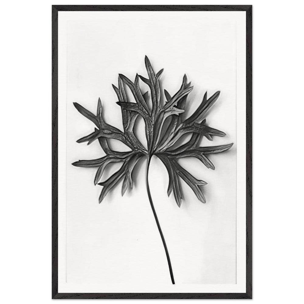Art Forms in Nature 31 by Karl Blossfeldt, framed poster