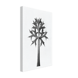 Art Forms in Nature 32 by Karl Blossfeldt, canvas, view 2