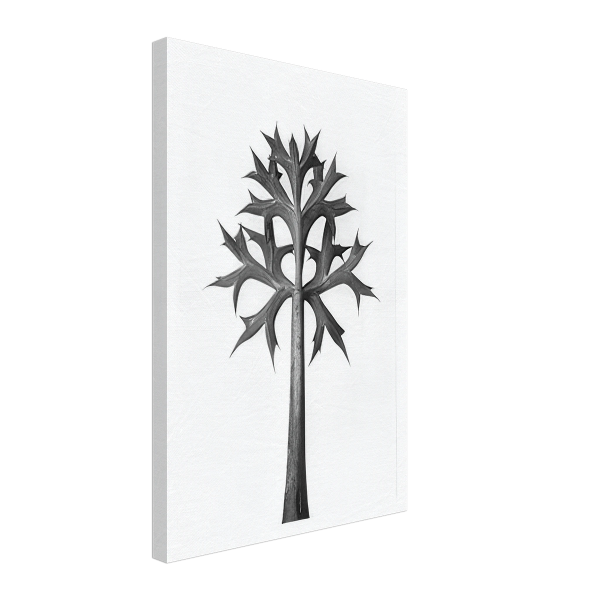 Art Forms in Nature 32 by Karl Blossfeldt, canvas