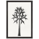 Art Forms in Nature 32 by Karl Blossfeldt, framed poster, view 2