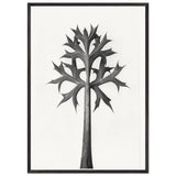Art Forms in Nature 32 by Karl Blossfeldt, framed poster, view 3
