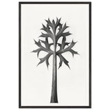Art Forms in Nature 32 by Karl Blossfeldt, framed poster