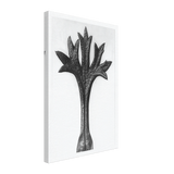 Art Forms in Nature 35 by Karl Blossfeldt, canvas