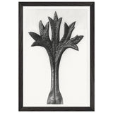Art Forms in Nature 35 by Karl Blossfeldt, framed poster, view 2