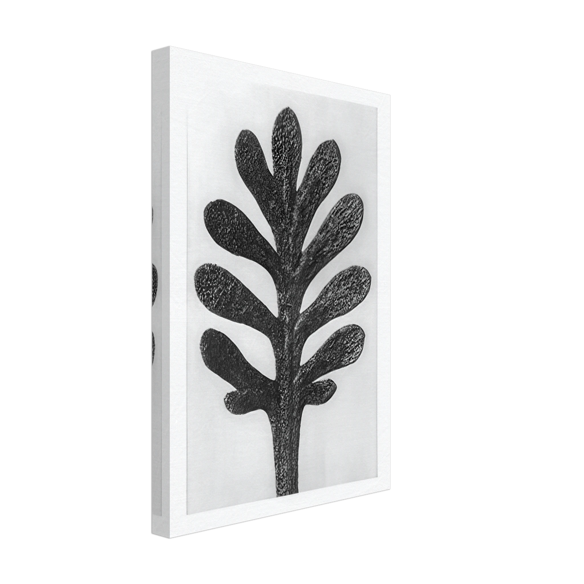 Art Forms in Nature 37 by Karl Blossfeldt, canvas, view 2