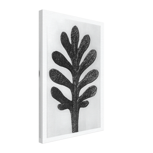 Art Forms in Nature 37 by Karl Blossfeldt, canvas