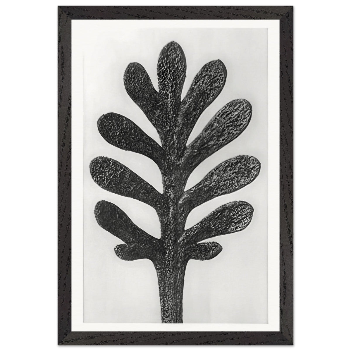 Art Forms in Nature 37 by Karl Blossfeldt, framed poster, view 2